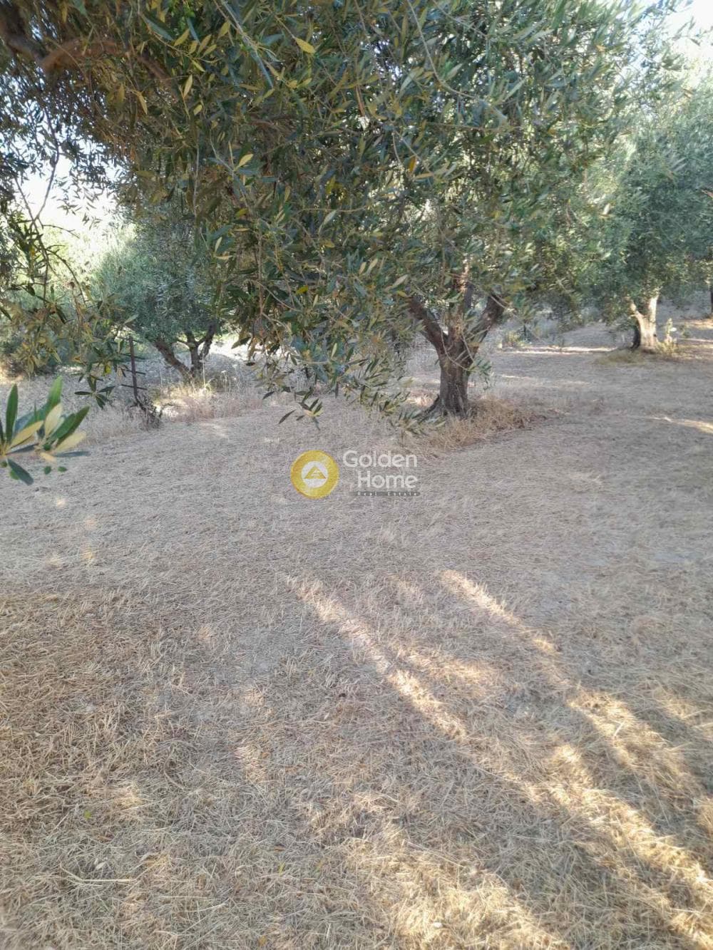 Οικόπεδο στην Σταυράκια, Τετραχώρι — Φωτογραφία 2 από 6