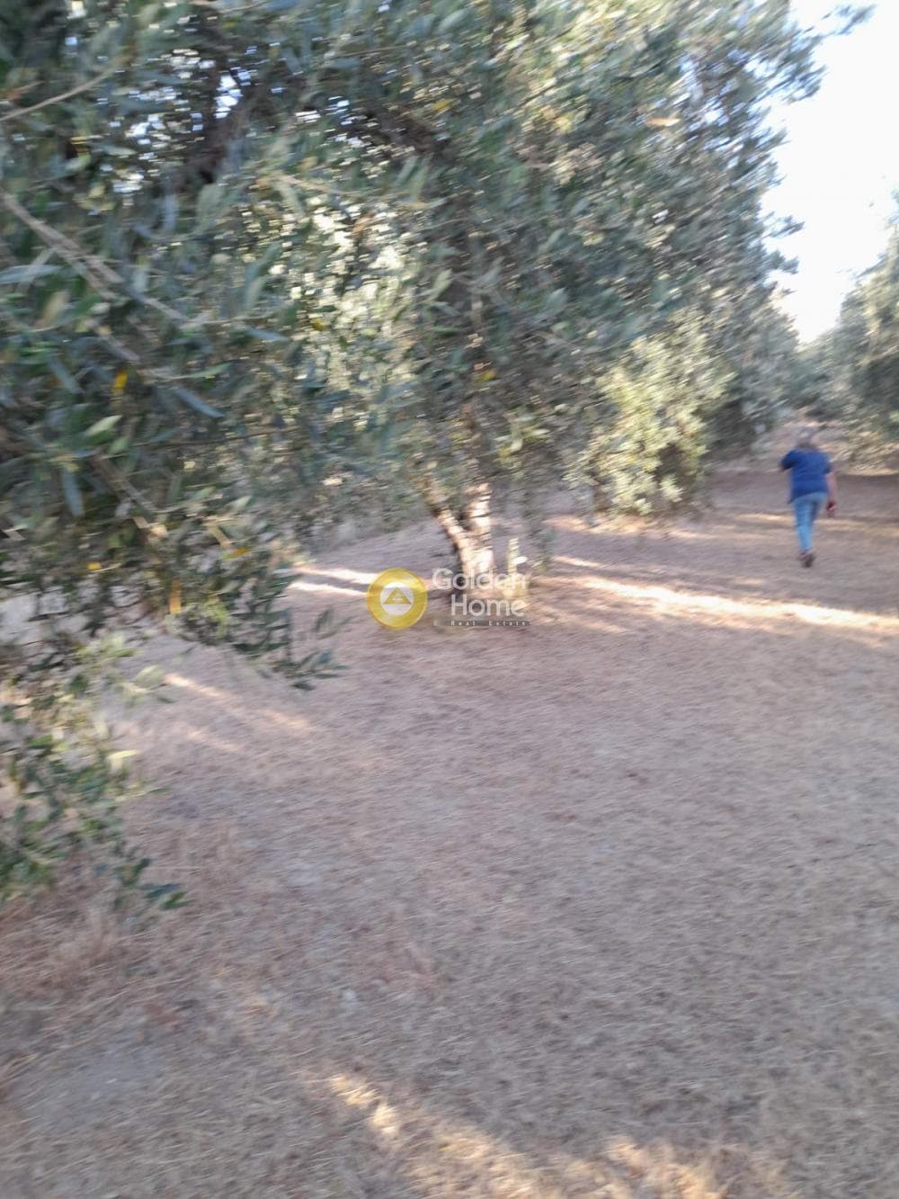 Οικόπεδο στην Σταυράκια, Τετραχώρι — Φωτογραφία 3 από 6