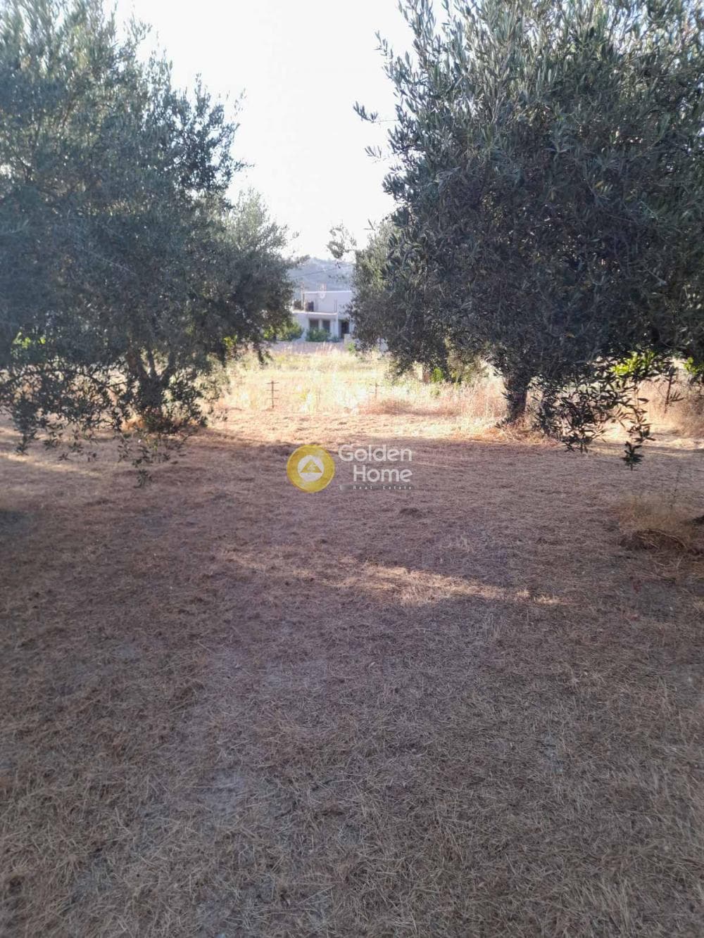 Οικόπεδο στην Σταυράκια, Τετραχώρι — Φωτογραφία 6 από 6