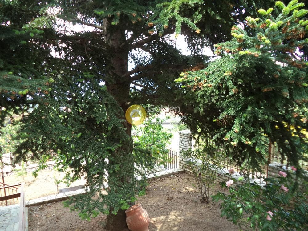 Μονοκατοικία στην Πυργάκι, Αίγιο — Φωτογραφία 10 από 21