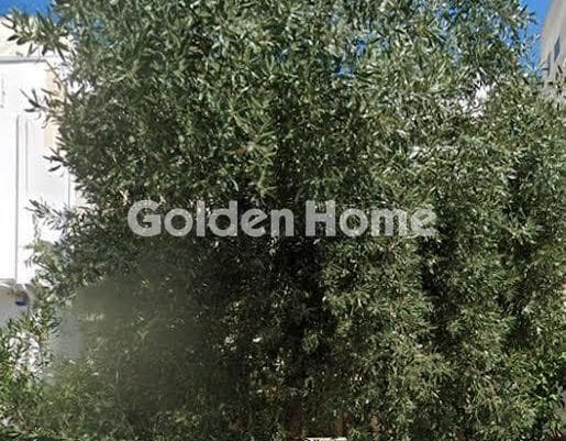 Μονοκατοικία στην Πλατεία Παπαδιαμάντη, Άνω Πατήσια