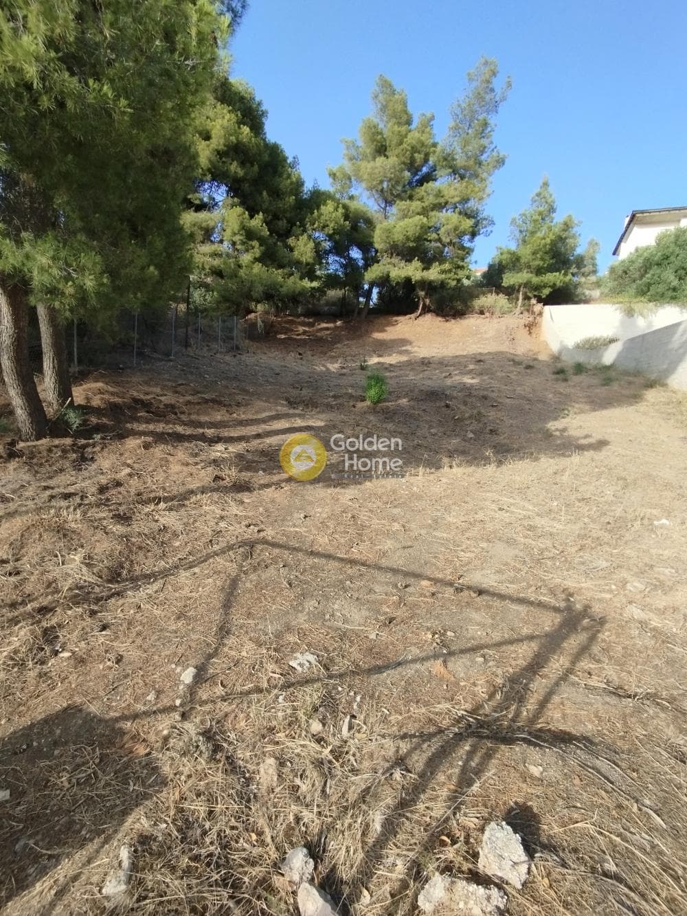 Οικόπεδο στην Καμάριζα, Λαύριο — Φωτογραφία 4 από 5