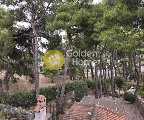 Μονοκατοικία στην Αγιά Παρασκευή, Άγιος Στέφανος — Φωτογραφία 1 από 57
