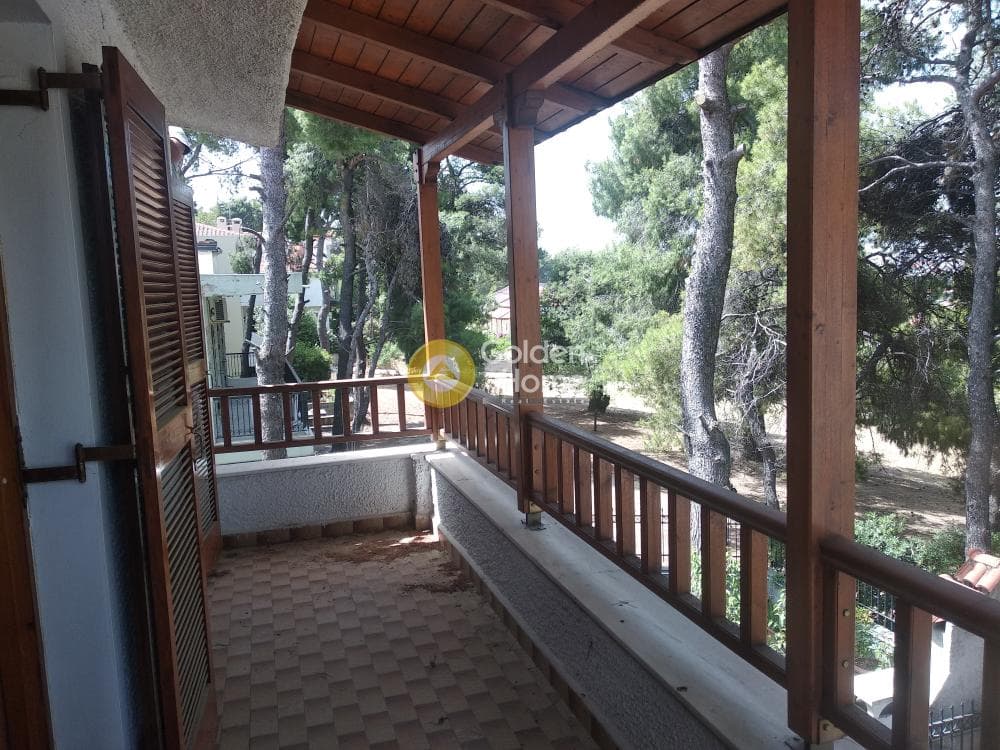Μονοκατοικία στην Αγιά Παρασκευή, Άγιος Στέφανος — Φωτογραφία 42 από 57