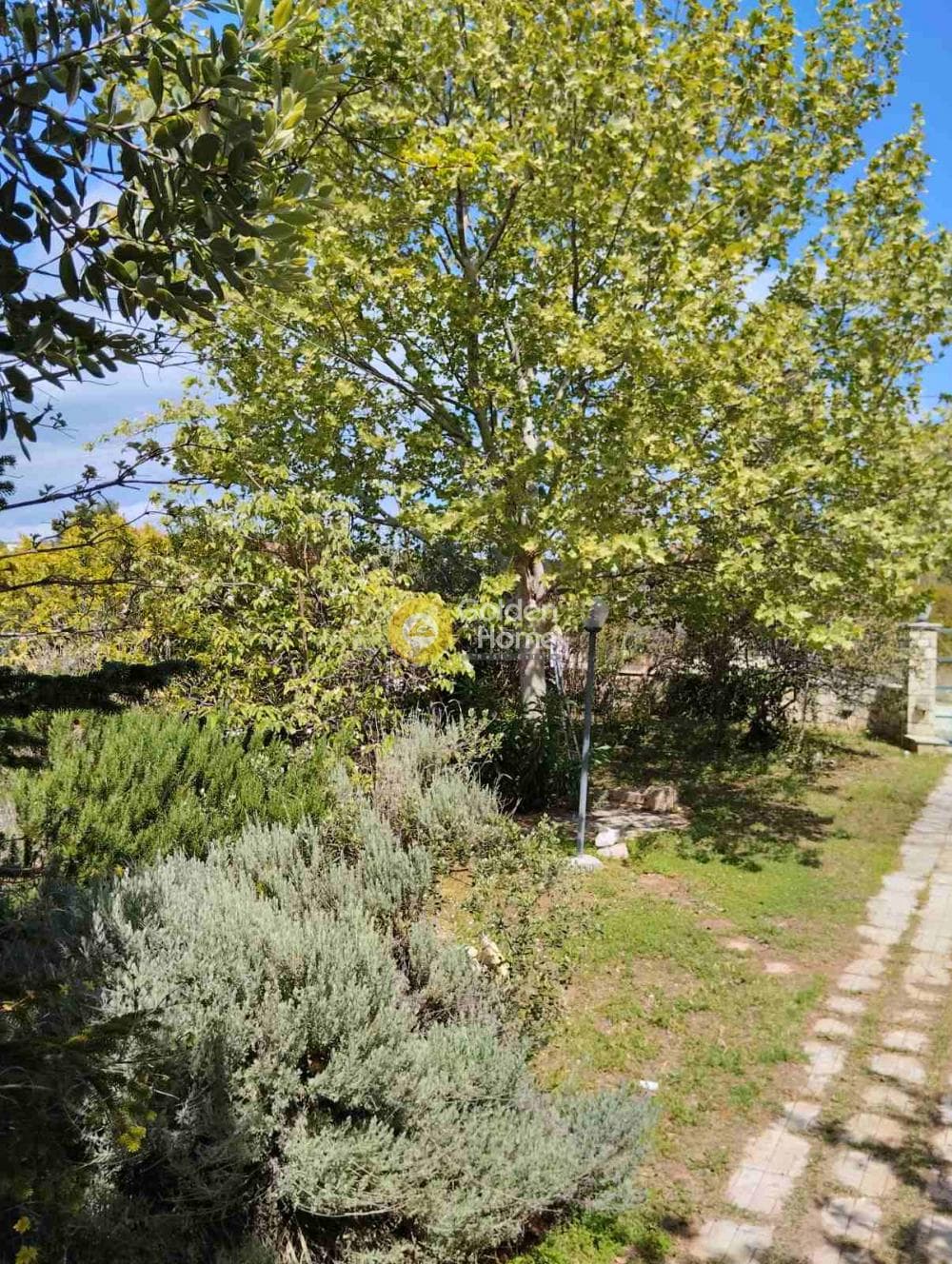 Μονοκατοικία στην Κεχριές, Κόρινθος — Φωτογραφία 9 από 23