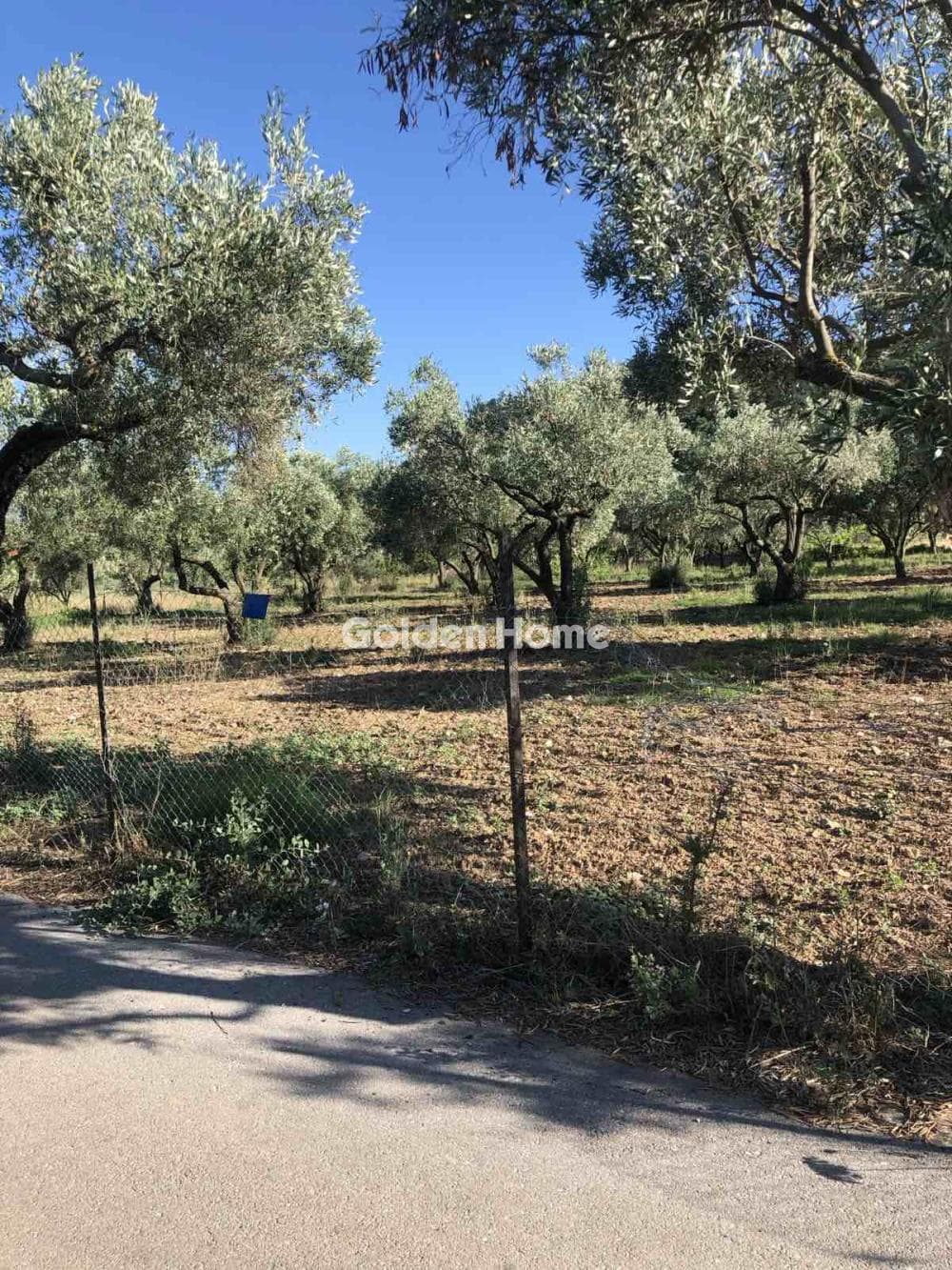 Parcel in Kiourka, Afidnes — Photo 3 of 3