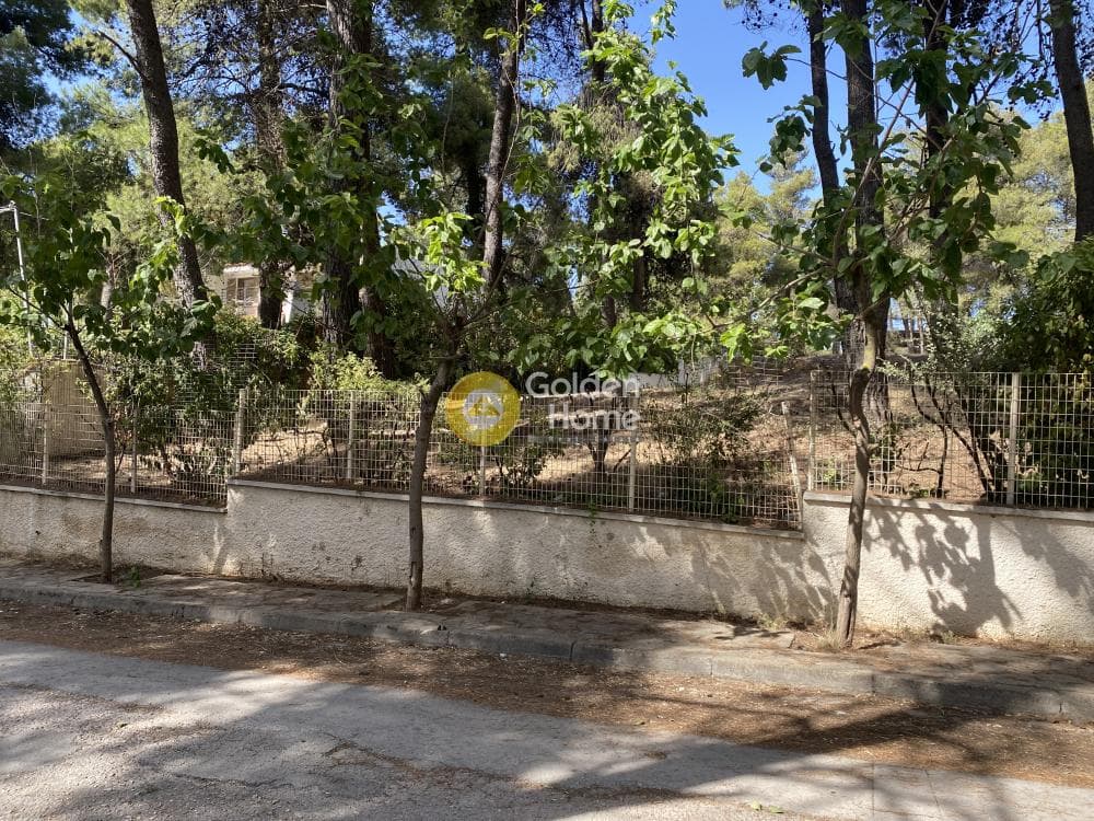 Οικόπεδο στην Δροσιά, Δροσιά — Φωτογραφία 4 από 4
