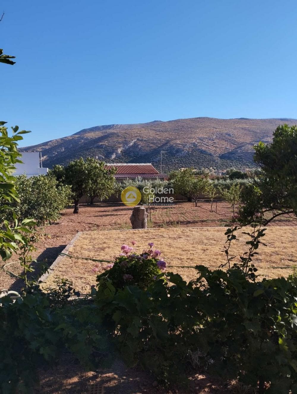 Αγροτεμάχιο στην Καλύβια, Καλύβια Θορικού — Φωτογραφία 3 από 3