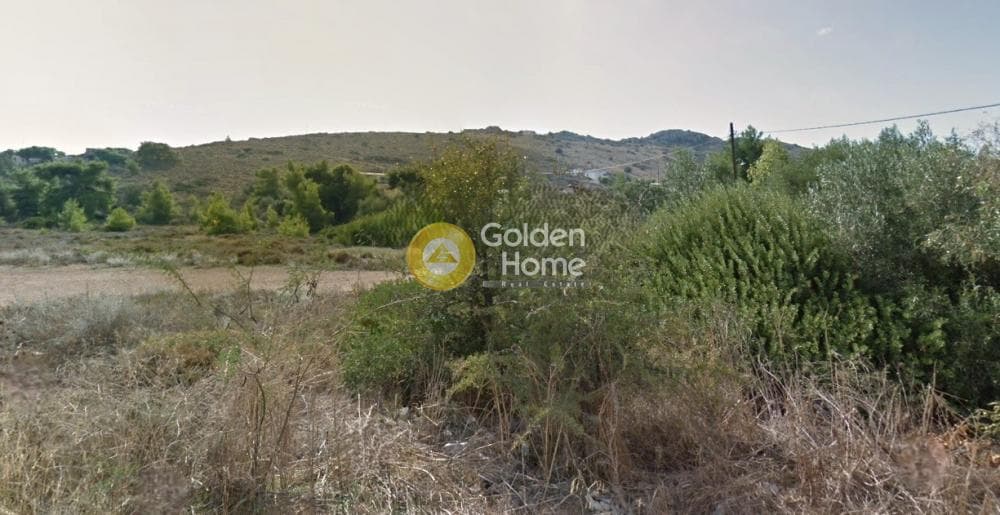 Parcel in Psili Ammos, Salamina — Photo 2 of 2