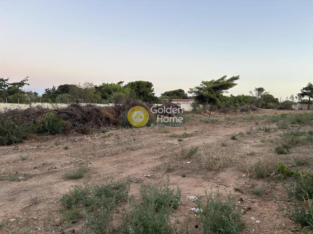 Οικόπεδο στην Βορινέζα, Αρτέμιδα (Λούτσα) — Φωτογραφία 3 από 7