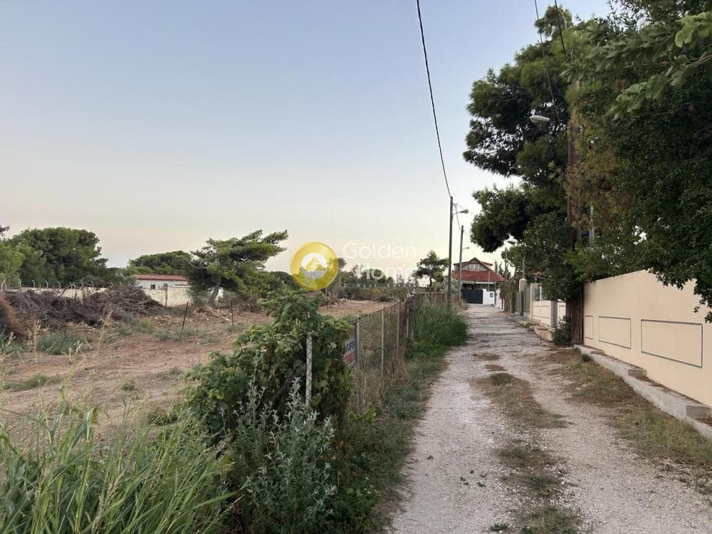 Οικόπεδο στην Βορινέζα, Αρτέμιδα (Λούτσα) — Φωτογραφία 6 από 7