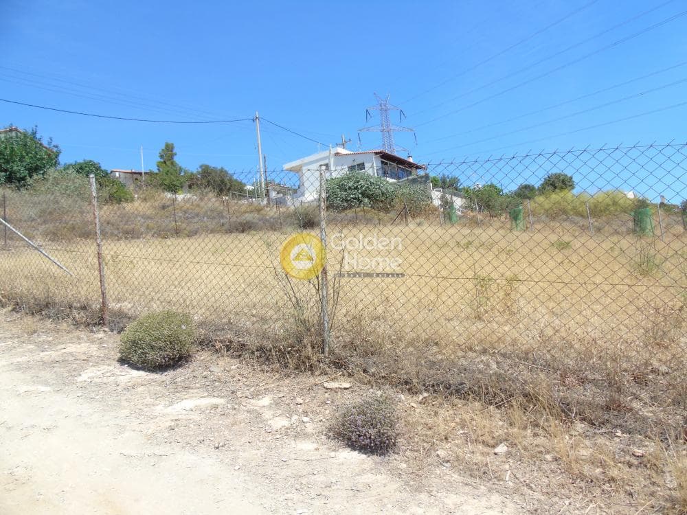 Αγροτεμάχιο στην Πανόραμα Μικρολίμανου, Λαύριο — Φωτογραφία 4 από 8