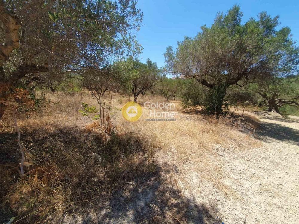 Building Plot in Sgourokefali, Episkopi — Photo 6 of 16