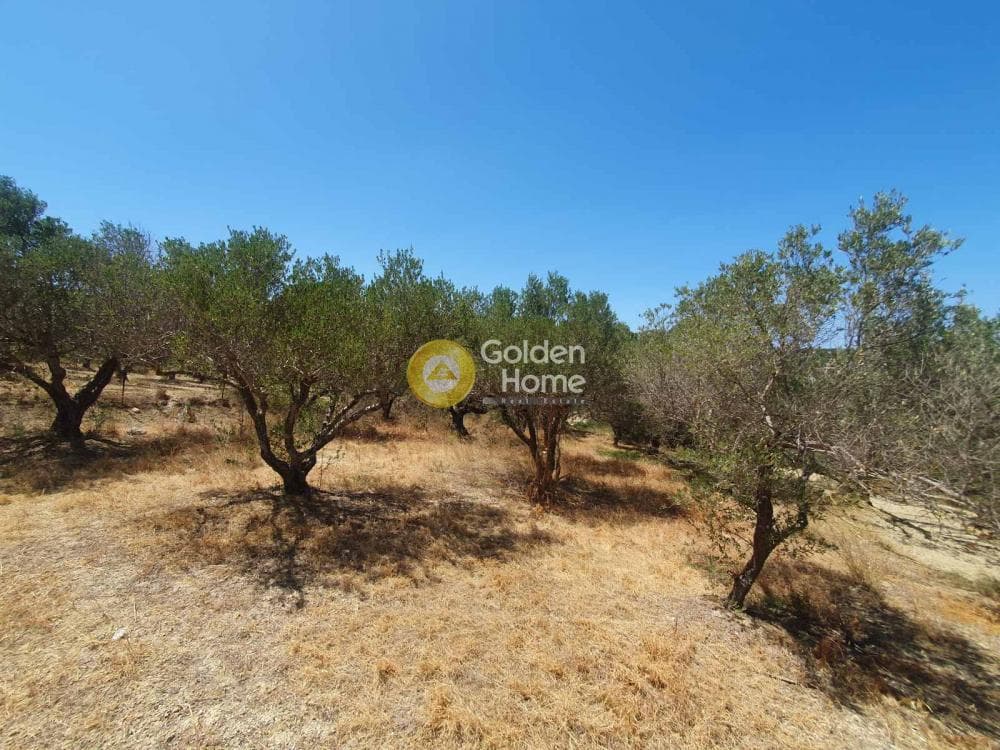 Building Plot in Sgourokefali, Episkopi — Photo 8 of 16