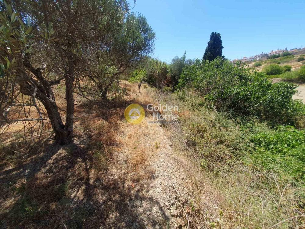 Building Plot in Sgourokefali, Episkopi — Photo 10 of 16