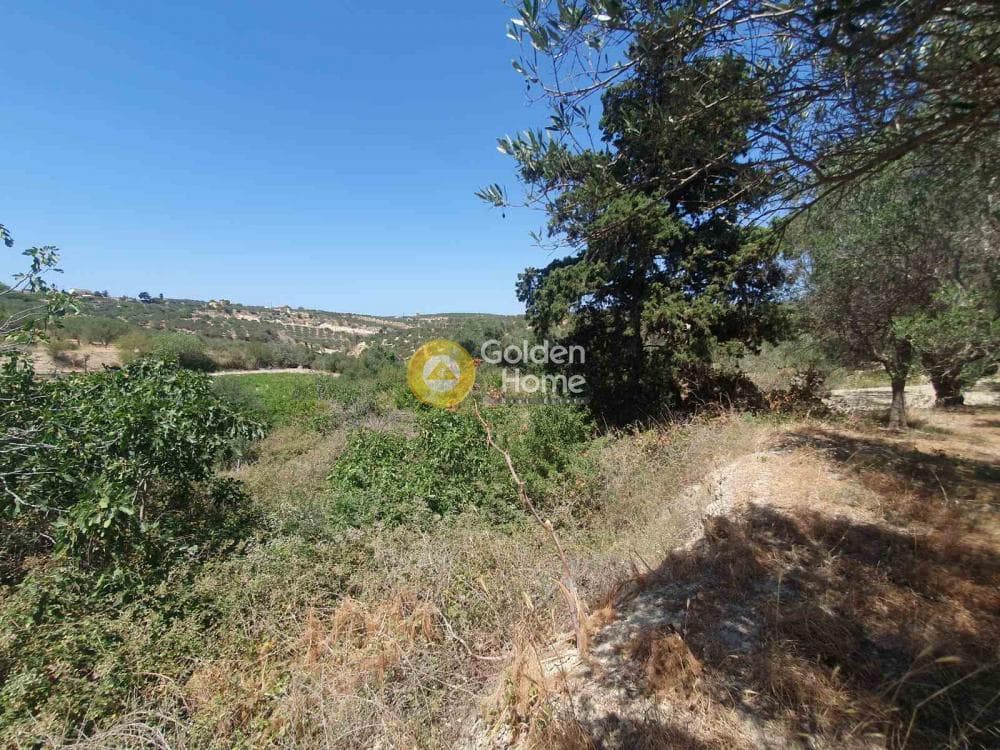 Building Plot in Sgourokefali, Episkopi — Photo 11 of 16