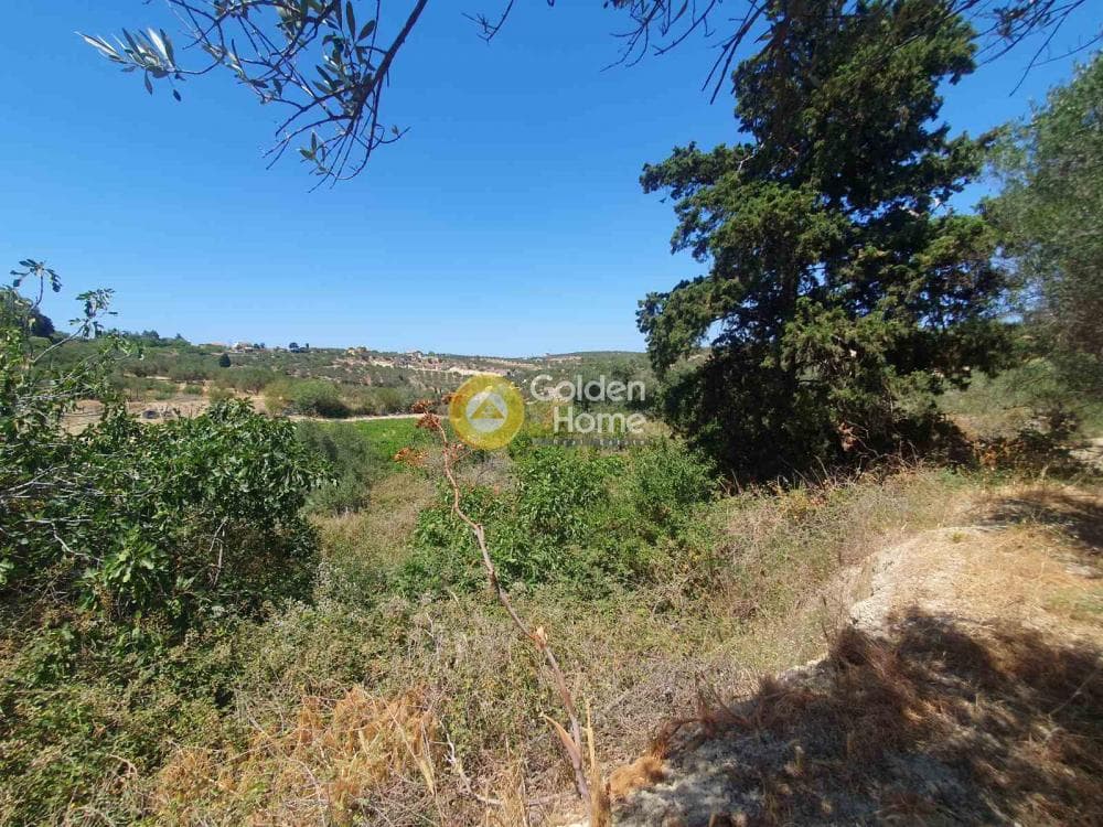 Building Plot in Sgourokefali, Episkopi — Photo 13 of 16