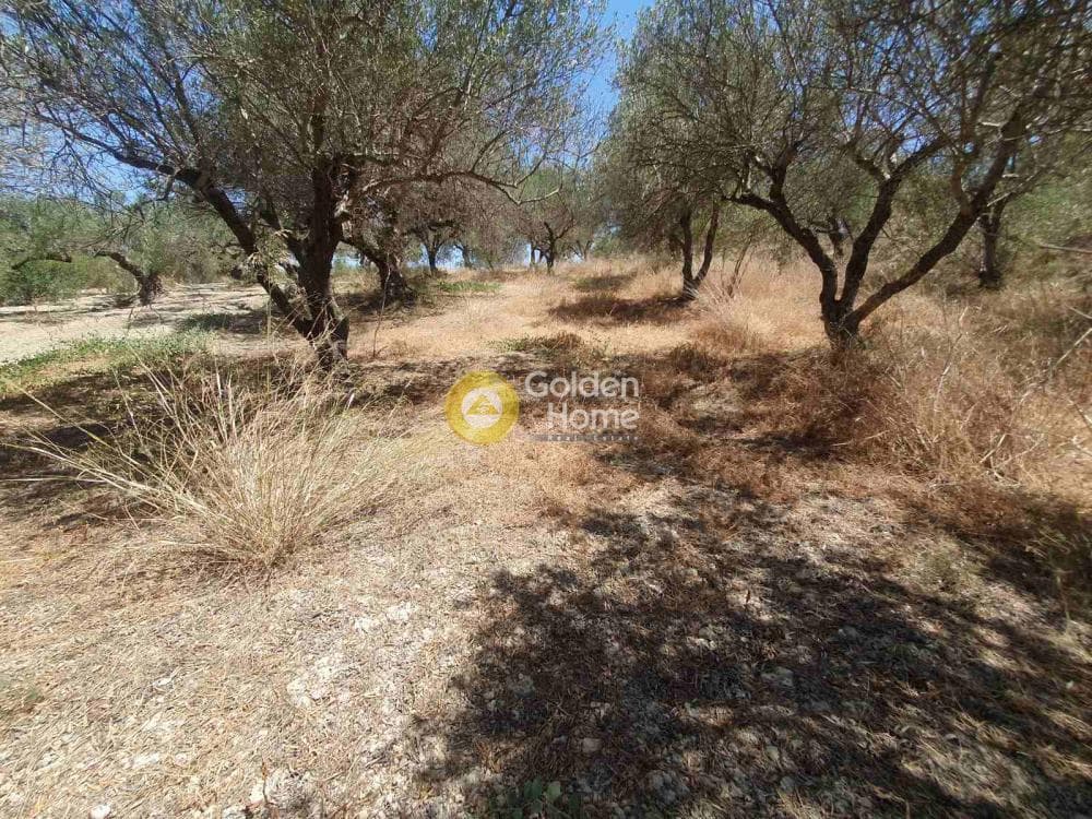 Building Plot in Sgourokefali, Episkopi — Photo 16 of 16