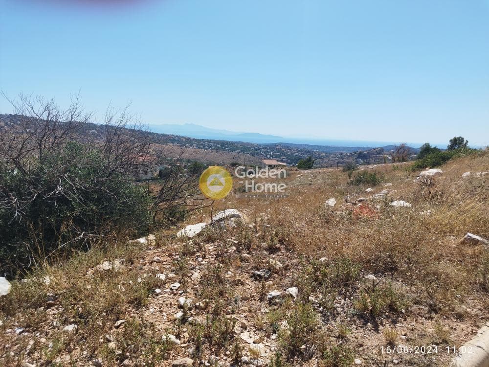 Αγροτεμάχιο στην Ντράφι, Πικέρμι — Φωτογραφία 5 από 14