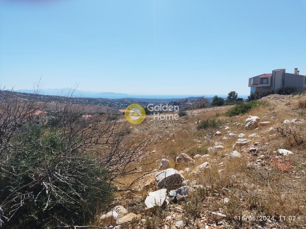 Αγροτεμάχιο στην Ντράφι, Πικέρμι — Φωτογραφία 9 από 14
