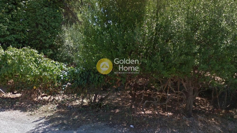 Οικόπεδο στην Δάσος Κουρεμένου, Άγιος Στέφανος