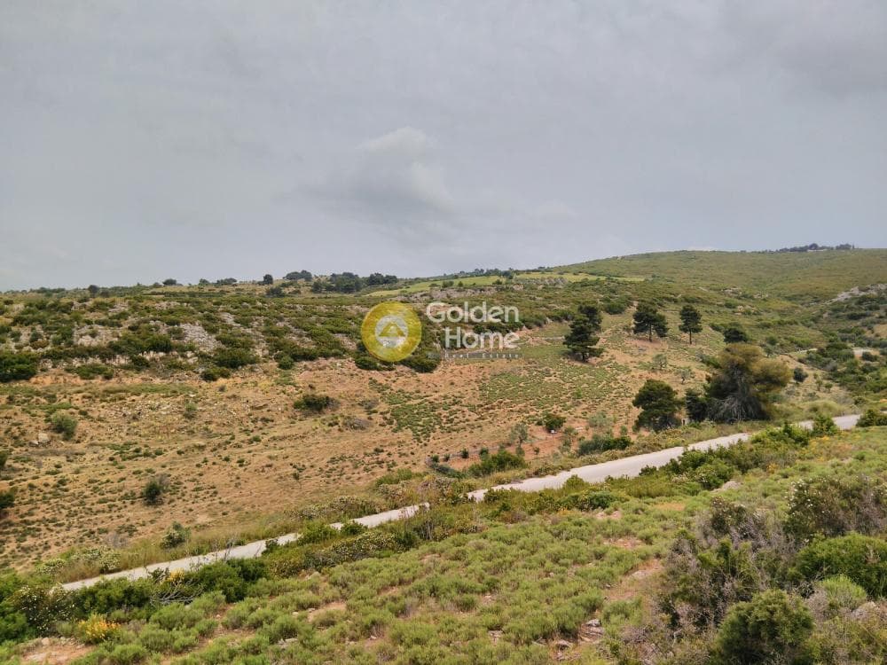 Αγροτεμάχιο στην Γραμματικό - Κέντρο, Γραμματικό — Φωτογραφία 2 από 10