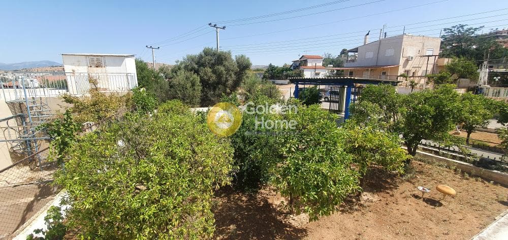 Building Plot in Center, Salamina — Photo 4 of 26