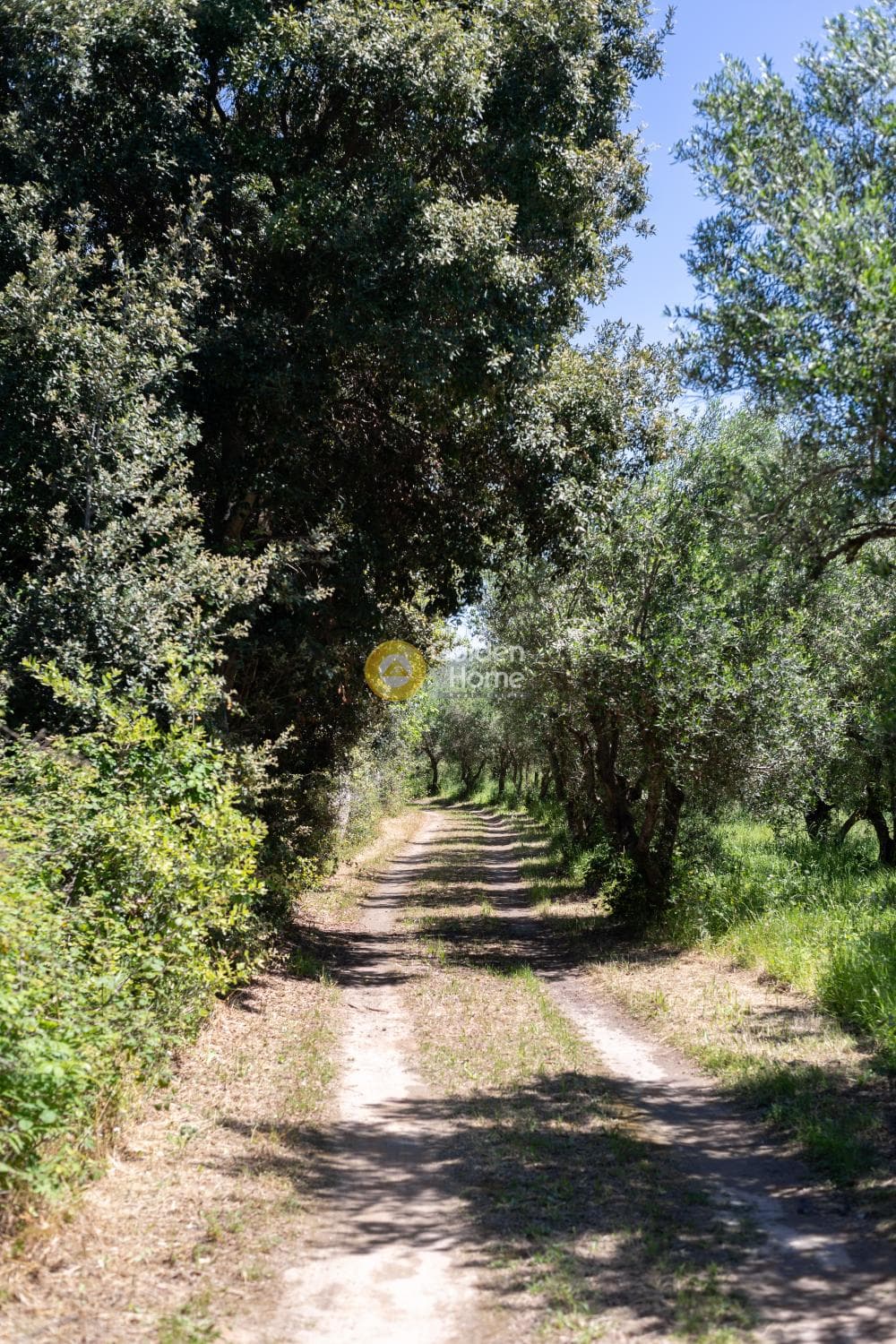 Μονοκατοικία στην Μελιτειέοι, Κέρκυρα — Φωτογραφία 11 από 38