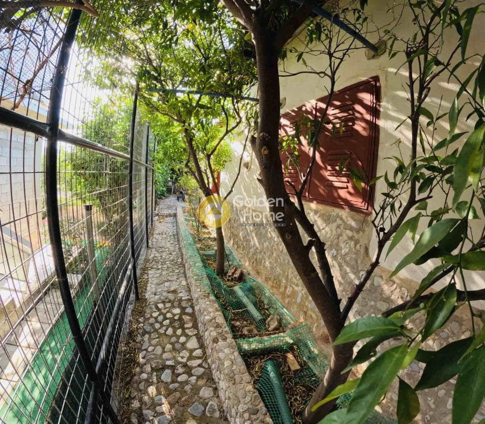 House in Kalivia, Kalivia Thorikou — Photo 17 of 26