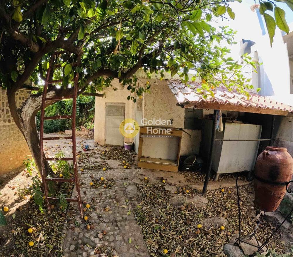 House in Kalivia, Kalivia Thorikou — Photo 26 of 26