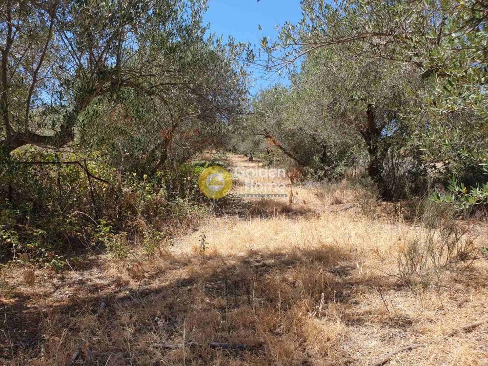 Building Plot in Sgourokefali, Episkopi — Photo 6 of 24