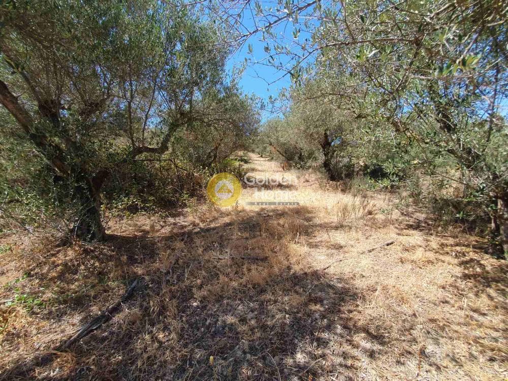 Building Plot in Sgourokefali, Episkopi — Photo 9 of 24