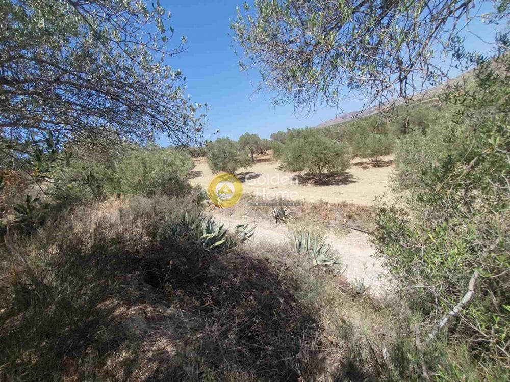 Building Plot in Sgourokefali, Episkopi — Photo 8 of 24
