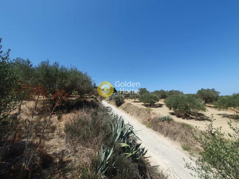 Building Plot in Sgourokefali, Episkopi — Photo 10 of 24