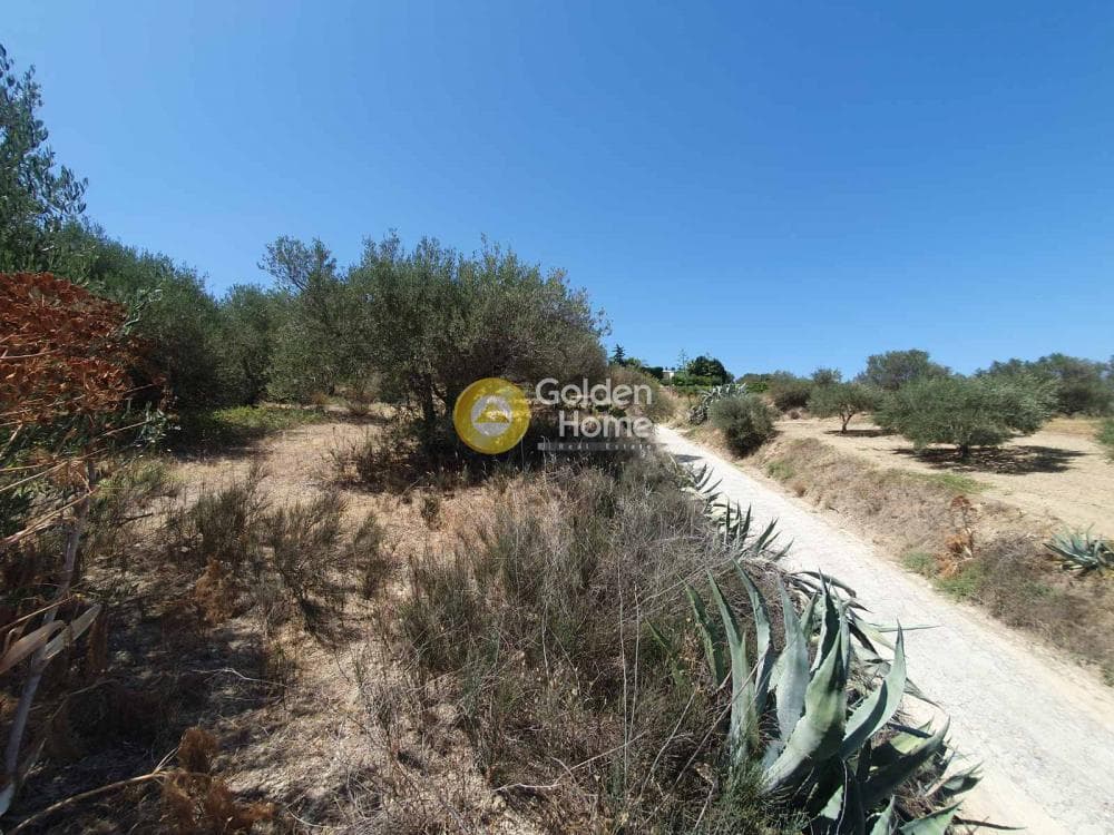 Building Plot in Sgourokefali, Episkopi — Photo 11 of 24