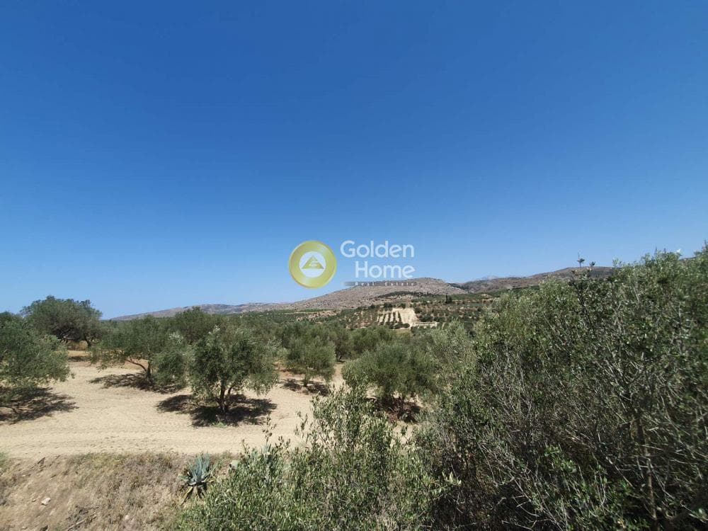 Building Plot in Sgourokefali, Episkopi — Photo 13 of 24