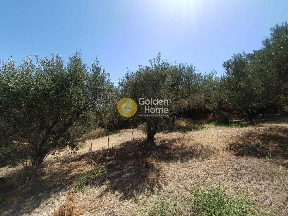 Building Plot in Sgourokefali, Episkopi — Photo 18 of 24
