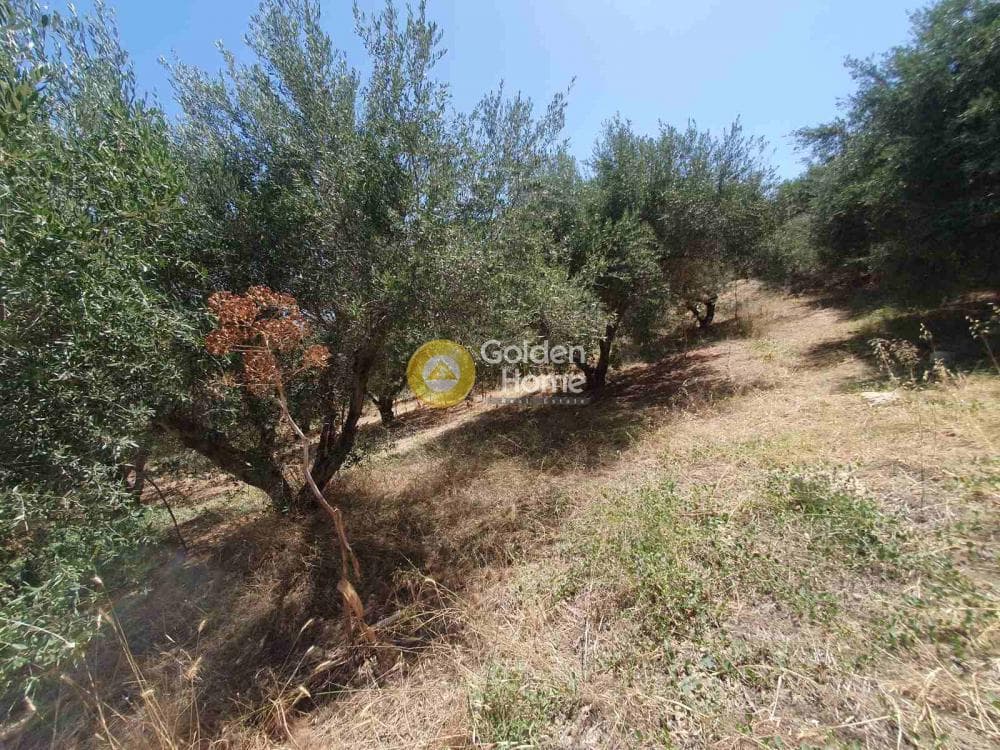 Building Plot in Sgourokefali, Episkopi — Photo 22 of 24