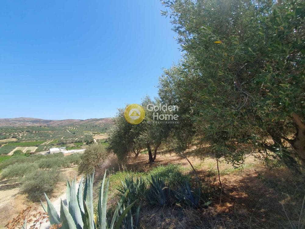 Building Plot in Sgourokefali, Episkopi — Photo 24 of 24