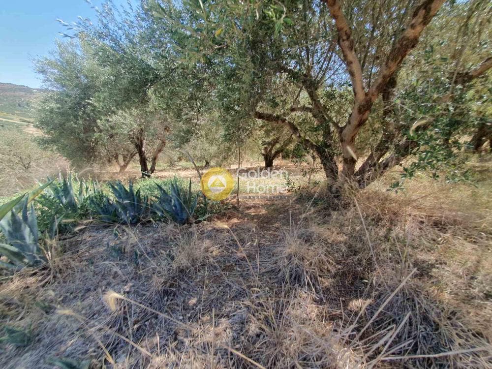 Building Plot in Sgourokefali, Episkopi — Photo 7 of 24
