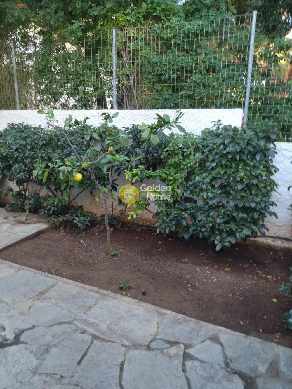 House in Saronida, Saronida — Photo 5 of 12