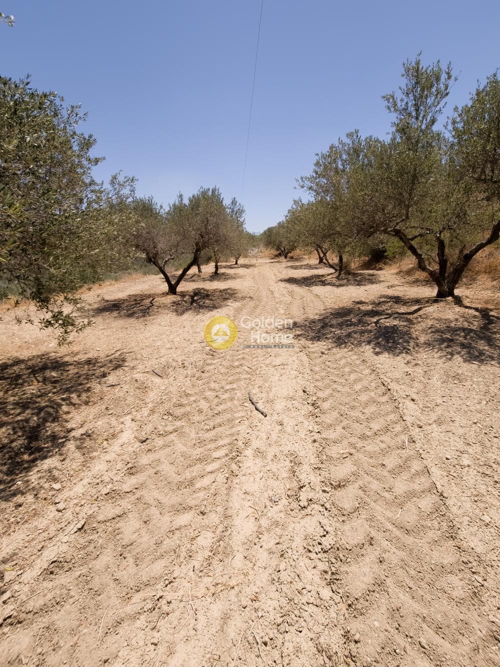 Building Plot in Epano Vatheia, Episkopi — Photo 2 of 5