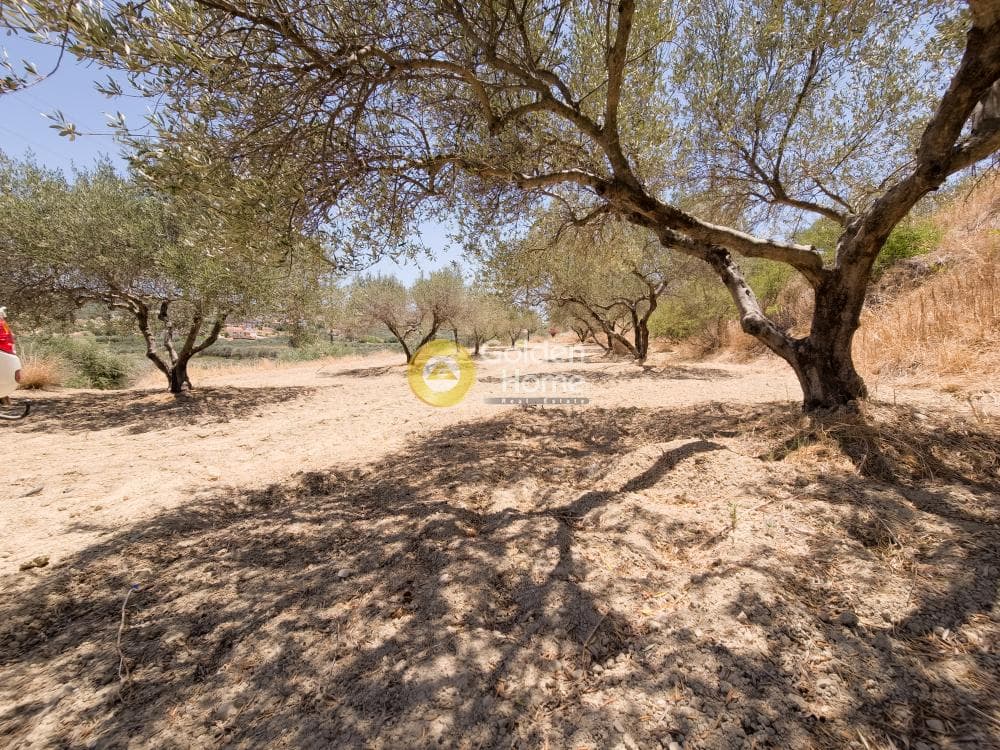 Building Plot in Epano Vatheia, Episkopi — Photo 4 of 5