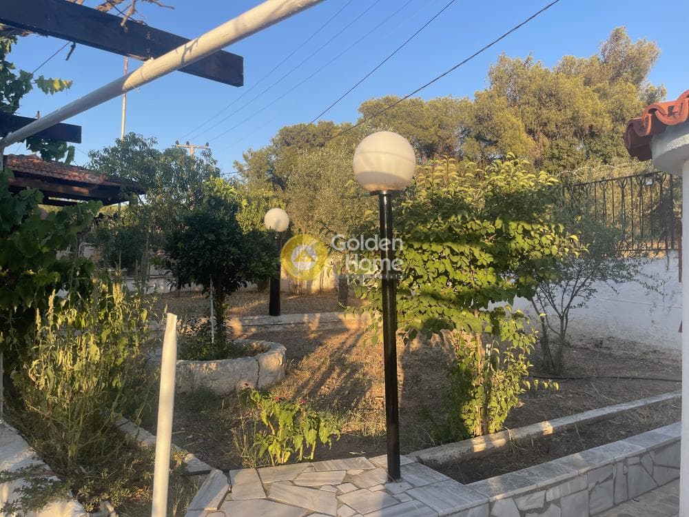 Μονοκατοικία στην Λίμνη Μαρκοπούλου, Μαρκόπουλο — Φωτογραφία 3 από 32