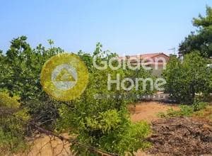 Building Plot in Kanakia, Salamina — Photo 2 of 5