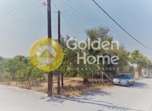 Building Plot in Kanakia, Salamina — Photo 5 of 5