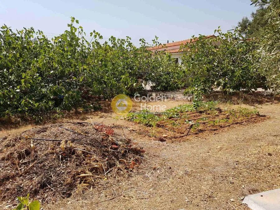 Building Plot in Kanakia, Salamina — Photo 3 of 5