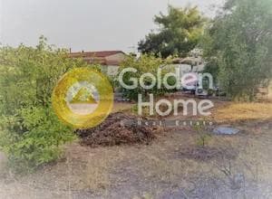 Building Plot in Kanakia, Salamina — Photo 4 of 5