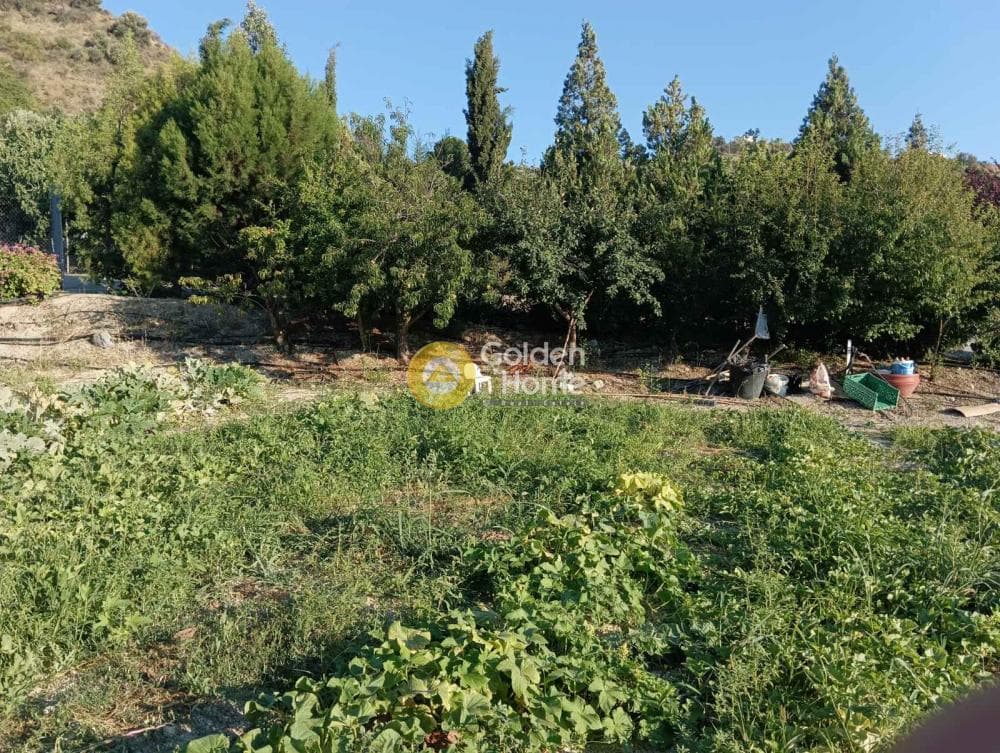 Οικόπεδο στην Δαφνές, Τετραχώρι — Φωτογραφία 5 από 9