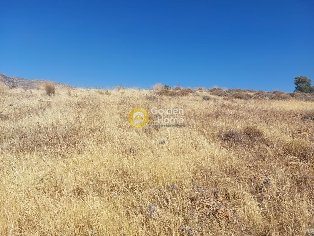 Parcel in Center, Keratea — Photo 1 of 5